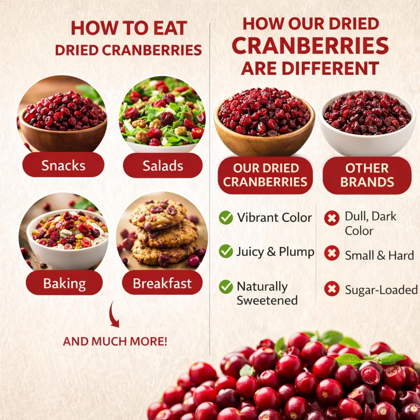 DRY GOODS CO. Dried Cranberries 200g | No Added Sugar | Dry Fruits