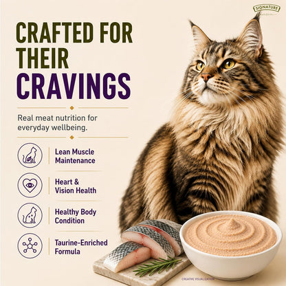 Grain Zero Adult Cat Wet Mousse 80gm | Ocean Fish | Rich in Protein, Promotes Hydration & Easy to Digest | Grain Free, No Artificial Flavours | Packed with Essential Vitamins & Antioxidants