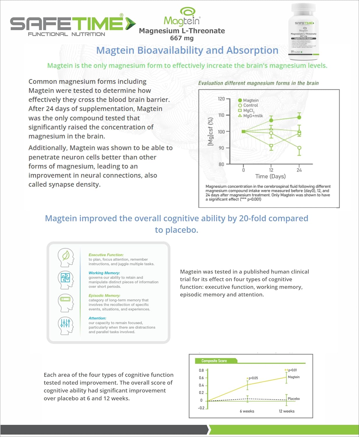 Brochure or flyer about Magtein magnesium supplement with graphs and text on a white background