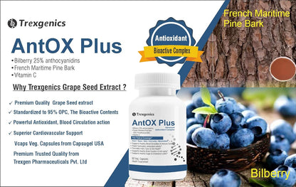 Promotional image of Trexegenics AntOX Plus supplement with blueberries and pine bark.
