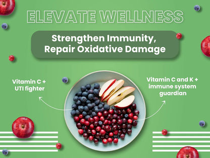 BARK OUT LOUD - Premium Kitten Dry Food | Fresh Salmon & Chicken | Hairball Control | Taurine |Omega Fatty Acids | Probiotivs-No Preservaties - Made in Belgium Kibbles for Kitten (1kg)