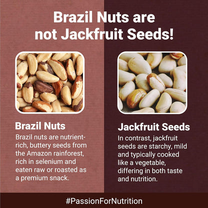 Nutraj Brazil Nuts Roasted 100g Pouch | No Added Preservatives | Handpicked & Exotic | Raw & Unsalted Natural Whole