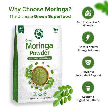 Moringa Powder 250g | USDA Organic Certified Drumstick Leaves Powder | 100% Pure & Fresh Moringa Leaf Powder | Rich in Vitamins, Minerals & Antioxidants | Natural Superfood for Energy, Stamina & Vitality | Non-GMO & No Preservatives AYUSHKA ORGANIC