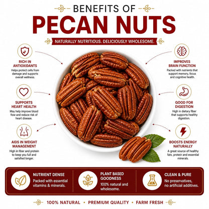 Dry Goods Co. Premium Pecan Nuts | Fresh Crunchy Pecans | Rich Buttery Taste | Healthy Dry Fruit Snack | High Fiber & Nutrient Rich | Ready to Eat Gourmet Nuts