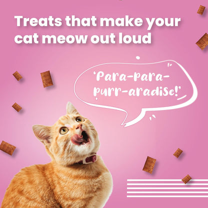 Bark Out Loud Cat Pillow | Crunchy Cat Treats with Fresh Chicken & Dried Krill | Prebiotics, Taurine, Vitamin E, DHA, Omega 3 & 6 | Healthy Cat Snacks for Sensitive Gut & All Life Stages -100gm
