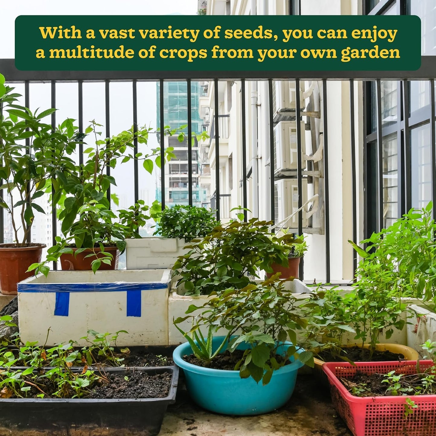 UGAOO Vegetable Seed Vault Kit – 50 Varieties, 2255+ Non-GMO Vegetable Seeds for Home Garden & Survival Gardening