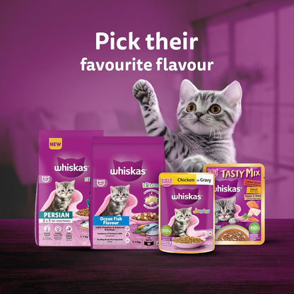 Whiskas Junior Kitten (2-12 Months) Wet Cat Food, Chicken in Gravy, 80 g Hydrating Food Made With Real Chicken, 100% Complete & Balanced Nutrition for Kittens