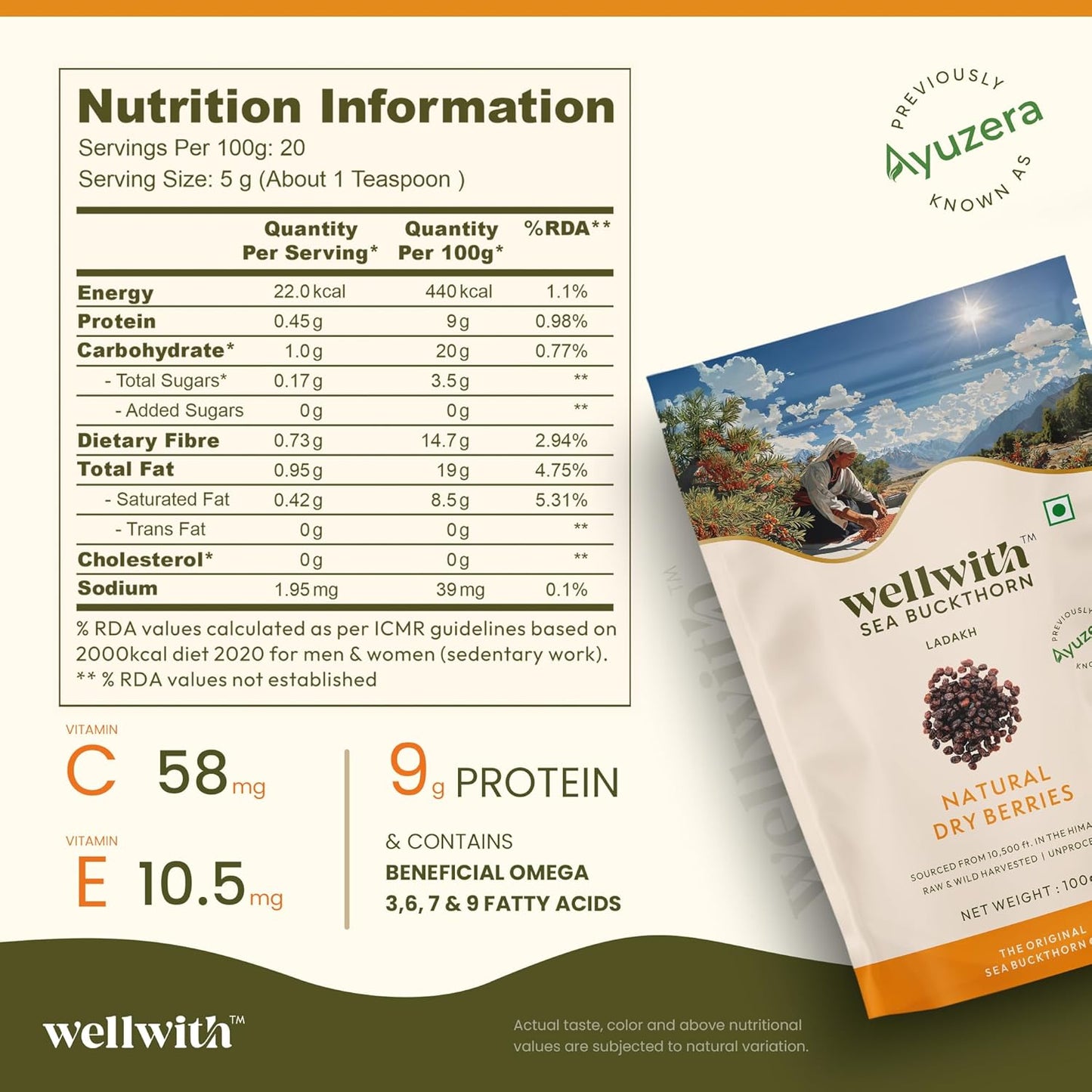 Wellwith by Ayuzera Sea buckthorn Dry Berry 100g – Natural, Sun-Dried, Rich in Omega 3,6,7 and 9, & Vitamin C, E | Dried Seabuckthorn Berries | No Added Sugar or Preservatives