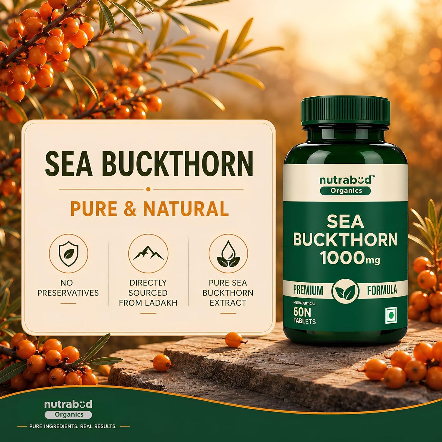 Nutrabud Organics Sea Buckthorn Berry Powder Capsules 1000mg - 60 Veg Tabs - Natural Source of Vitamin-A,C,E,K, Omega-3,6,7,9 & Antioxidants for Skin Glow & Collagen Boost (60 Count (Pack of 1))