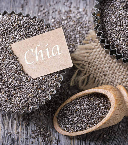 Go Vegan Chia Seeds for Weight Loss - 500gm | Omega 3 Best for Weight Loss (JAR PACK)