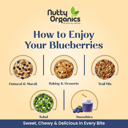 Nutty Organics Whole Dried Blueberries 150g | No Refined Sugar | 100% Natural | Rich in Antioxidants & Fiber | Premium Imported Dry Frui
