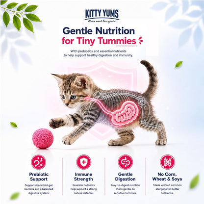 Kitty Yums Kitten (1-12 Months) Dry Cat Food 1.2kg Pack | Ocean Fish Flavour | Support Digestive Health | Strong Vision Development | Strong Immune System