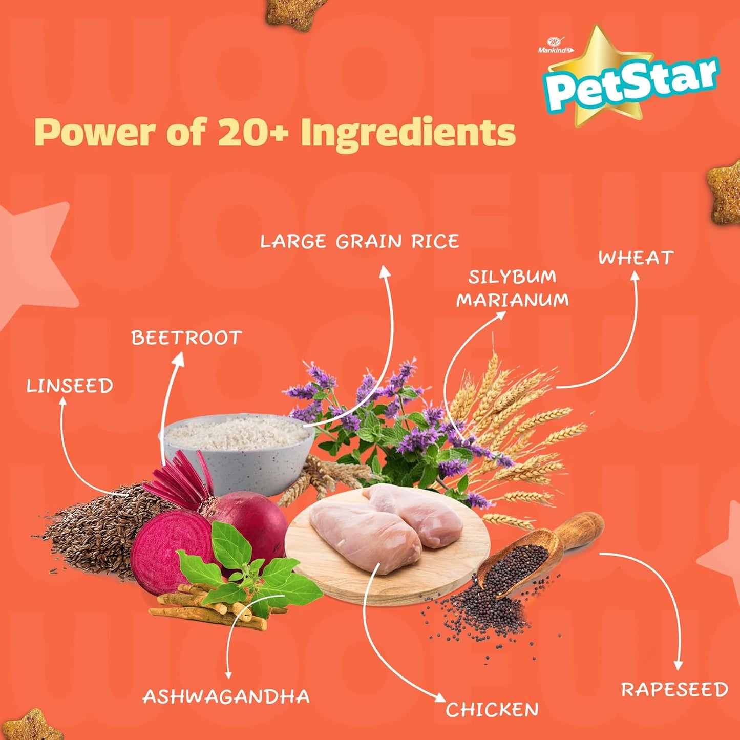 PETSTAR Mankind Puppy Dry Dog Food (High Protein) Chicken & Wheat Flavor, 1kg | Improves Muscle & Strength, Supports Immunity, Protects Liver & Kidney | Puppy Dog Food