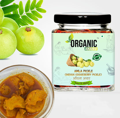 Organic Anand Amla Pickle 250g | Homemade Indian Gooseberry Pickle | Traditional Amla Ka Achaar | Natural, Homemade Pickle | No Artificial Preservatives | Ready to Eat