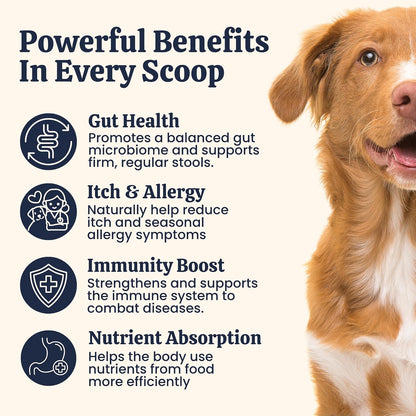 My Fur Child Advanced Digestive Support for Dogs | 3.2 Billion CFU 9-Strain Probiotics, Digestive Enzymes, Pumpkin & Prebiotics | Supports Gut Health, Digestion & Stool Quality | Lasts Up to 60 Days