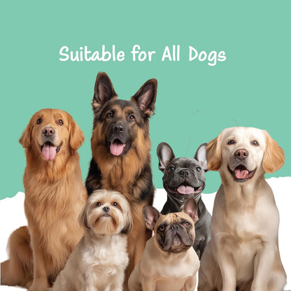 Fullr Daily Wellness, Soft & Chewy Sticks for Dog, 70g, Pack of 1
