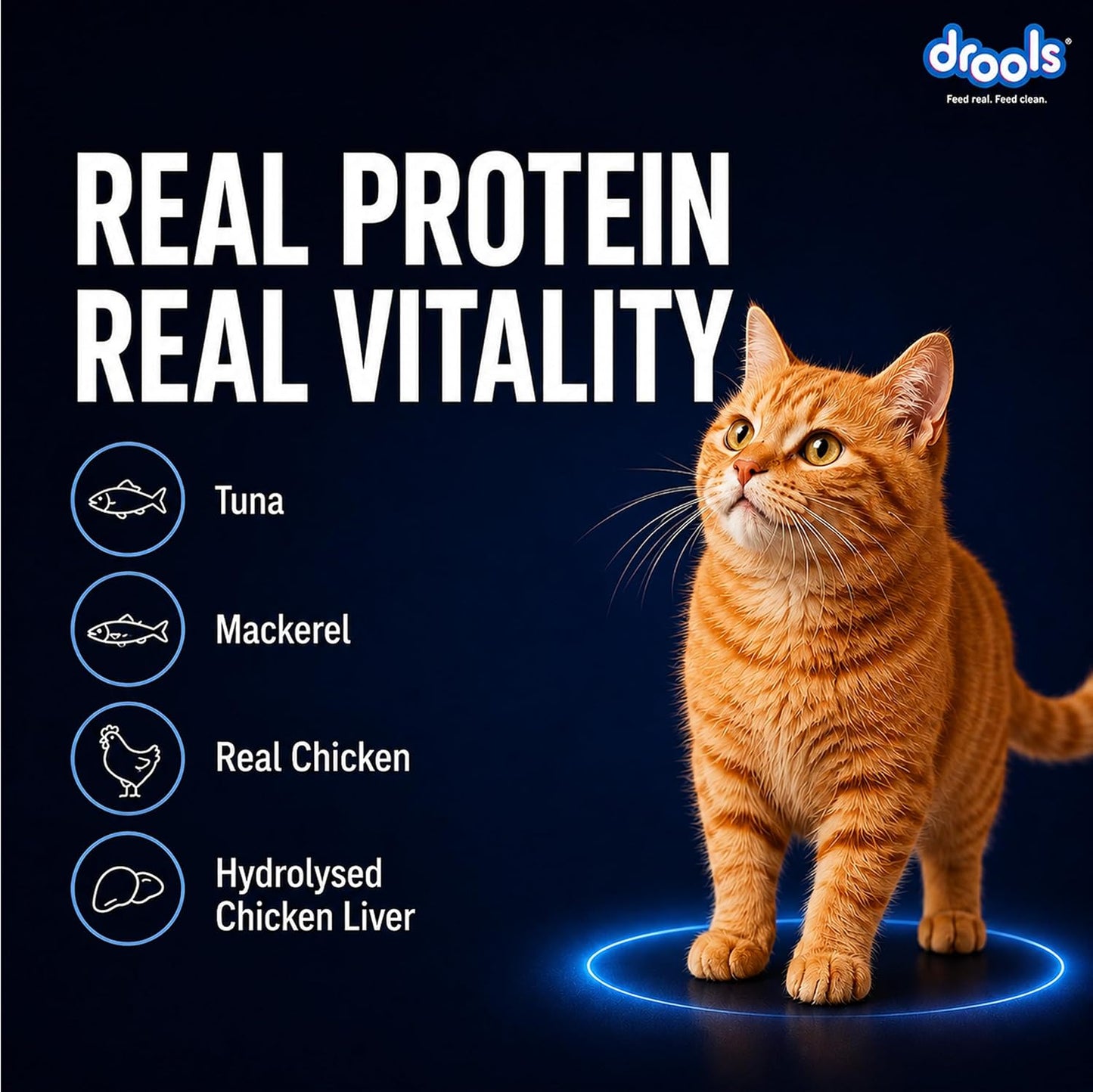 Drools Adult Cat Wet Mousse 80g Pack of 5, 400g | Ocean Fish Flavour | Rich in Protein, Hydrating & Easy to Digest | No Artificial Flavours | with Essential Vitamins & Antioxidants