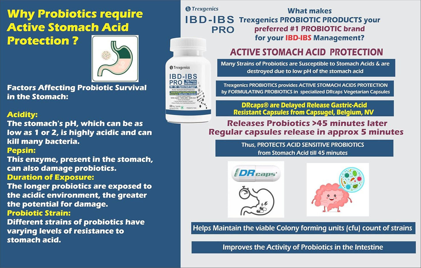 Probiotic product with text explaining active stomach acid protection and its importance for probiotic survival.