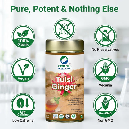 Organic Wellness Tulsi Ginger Herbal Tea 100g Tin | Natural Antioxidant Rich Blend | Supports Digestion | Relieves Stress | Boosts Metabolism | Enhances Immunity | Soothing Refreshing Daily Beverage