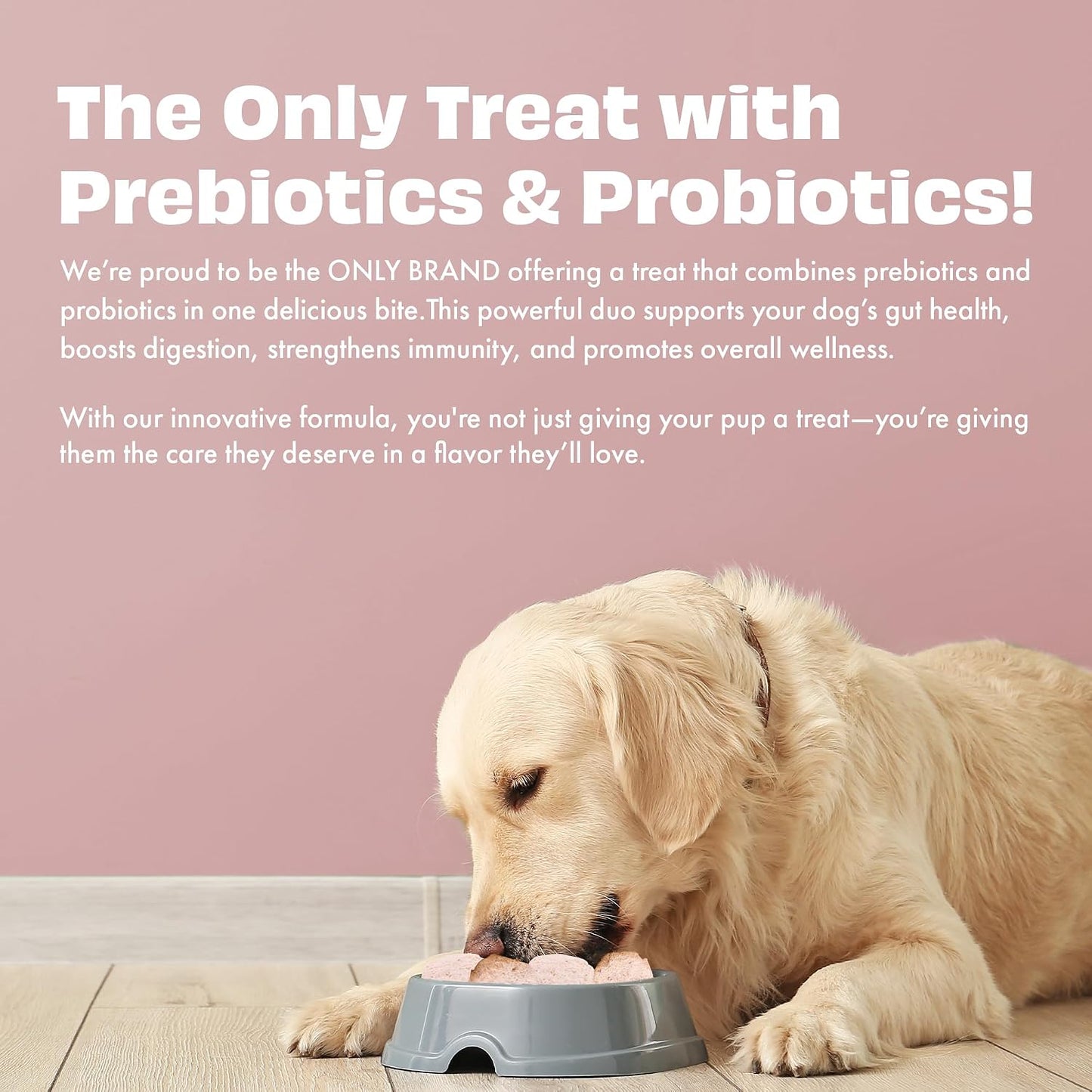 Pawfect Yogurt Melties Freeze Dried Pre and Probiotic Dog Treats with Strawberry, Apple, Papaya & Burdock Root - Healthy Gut- Low Calories- Grain & Gluten Free - Reward or Training Treats (38g/1.34oz)