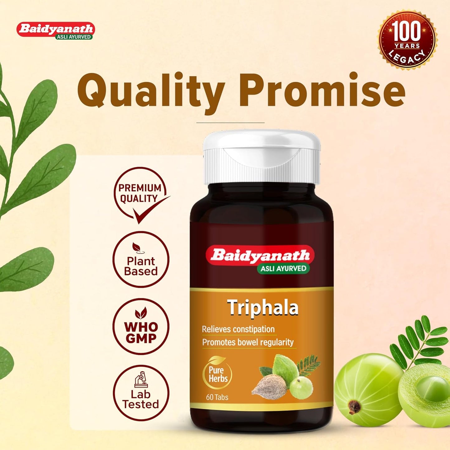 Baidyanath Triphala -60 Tablets | Ayurvedic Blend of Amla, Haritaki & Baheda | Supports Digestion & Gut Health |
