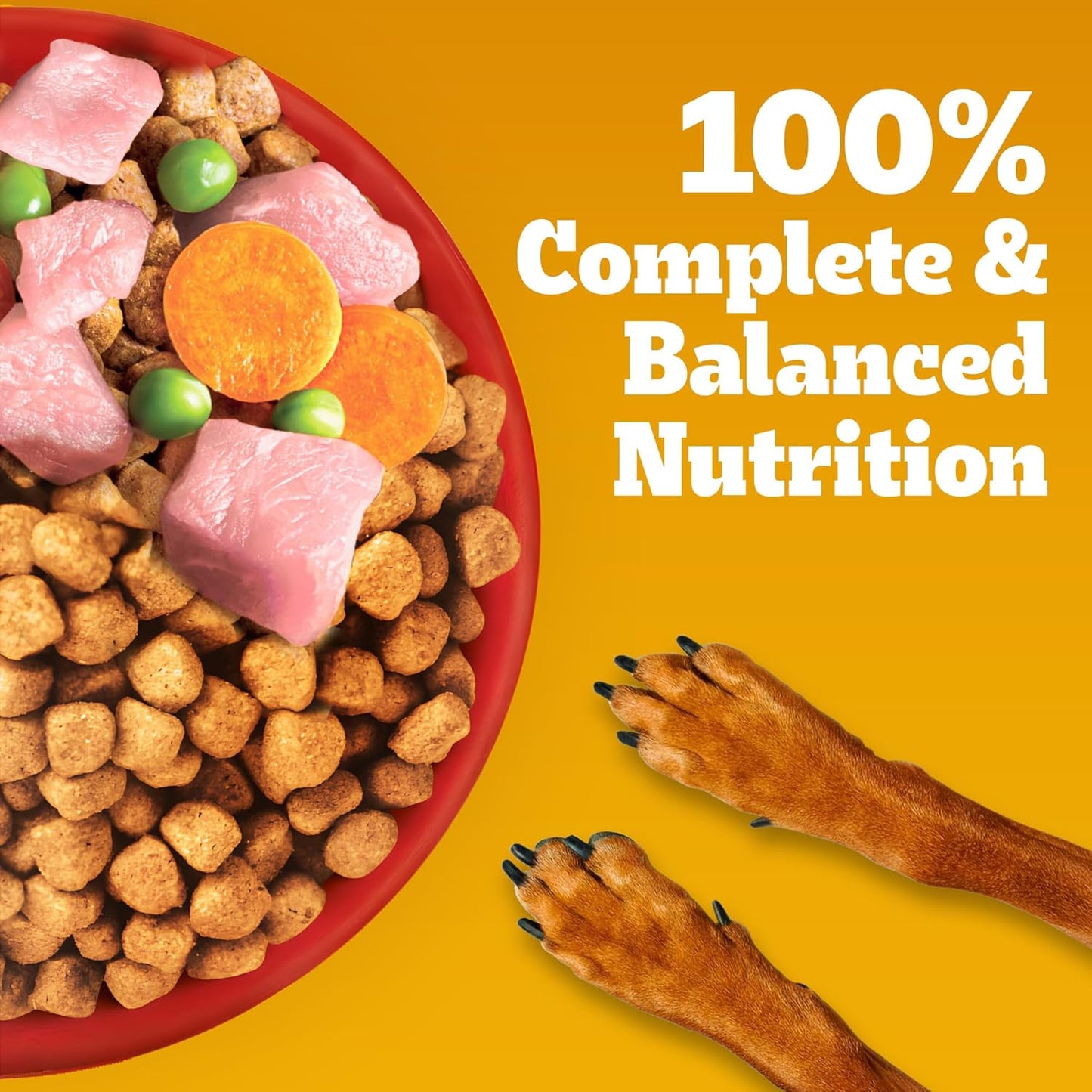 Pedigree Adult Dry Dog Food, Meat & Rice, 1 kg, Contains 37 Essential Nutrients, 100% Complete & Balanced Food for Adult Dogs