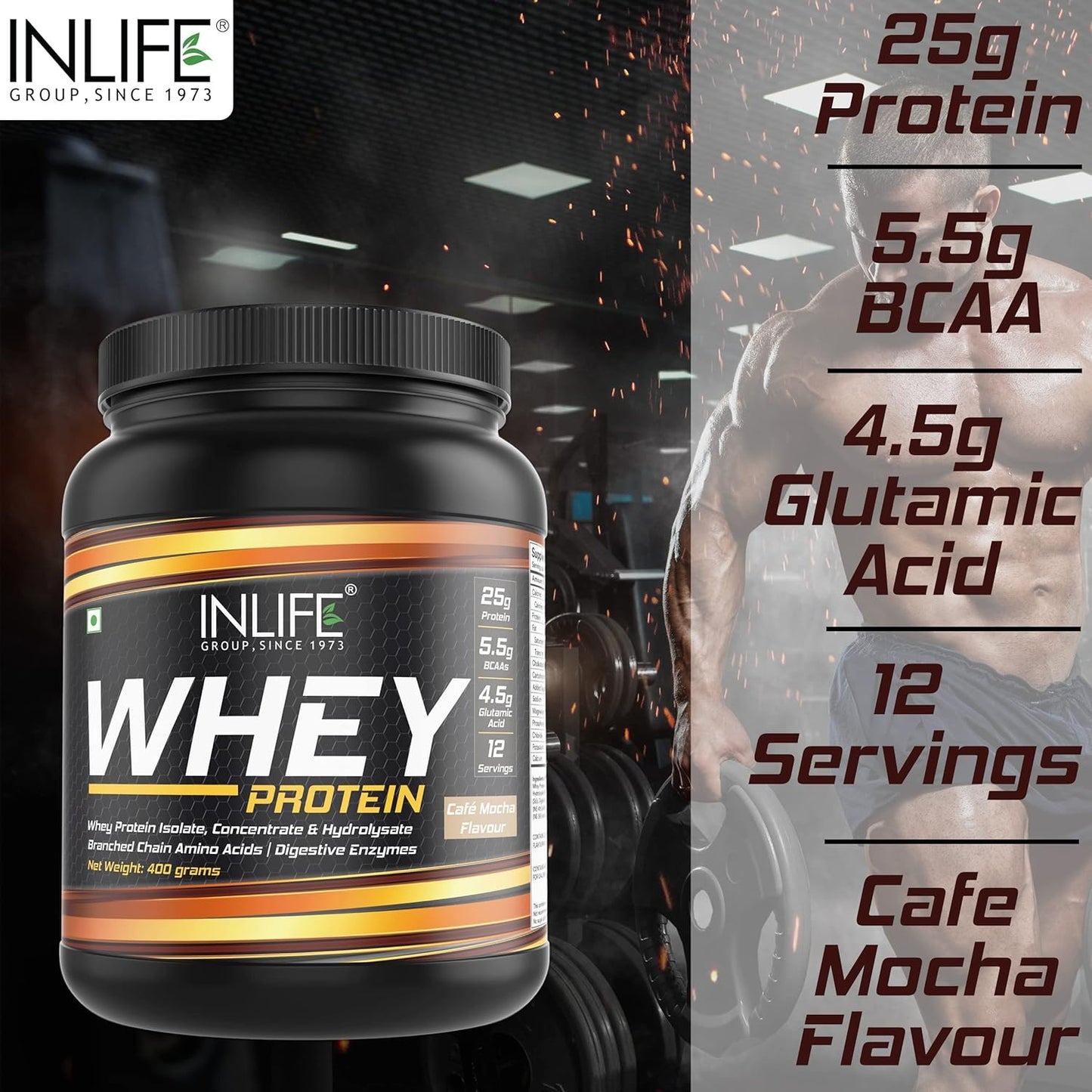 INLIFE Whey Protein Powder, Blend of Isolate Concentrate Hydrolysate Powder, Sports Nutrition Workout Drink, Muscle Food, Body Building Supplement for Men Women (Cafe Mocha, 400g)