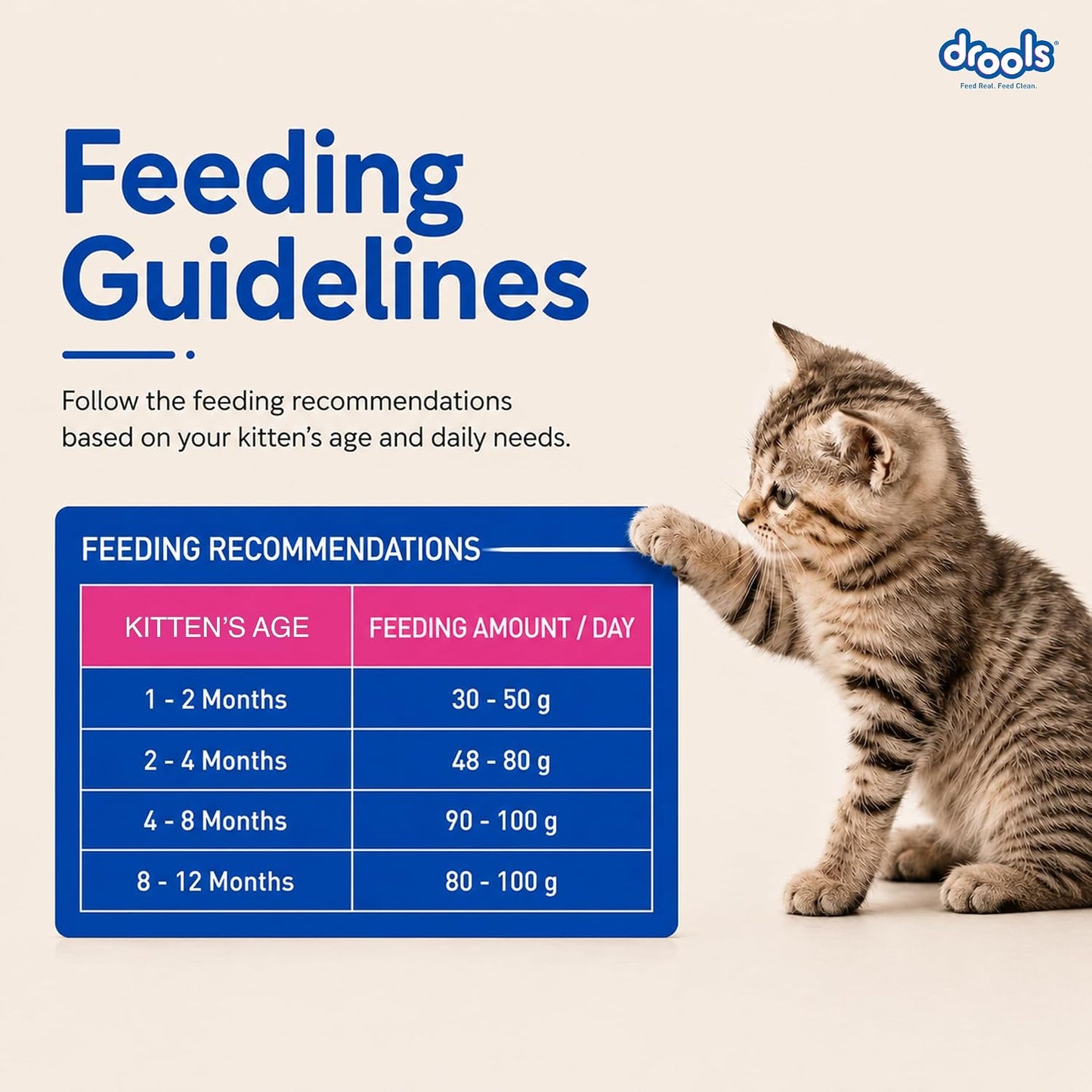 Drools Kitten Dry Cat Food 1.2kg | Ocean Fish Flavour | Promotes Soft Skin & Shiny Coat | Complete Nutrition | Supports Digestion | Aids Growth Development