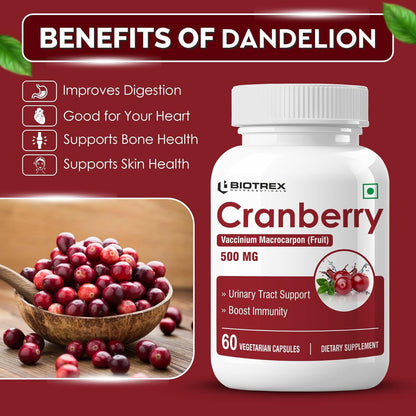 Biotrex Nutraceuticals Cranberry 500mg - for Urinary Tract Health, UTI Health Supplement | 60 Capsules