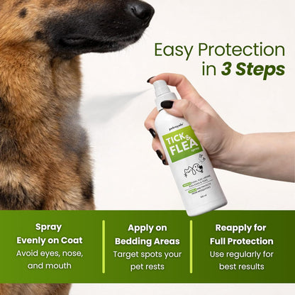 Petroyale Tick and Flea Spray for Dogs & Cats - Natural Oils - Essential for Flea & Tick Treatment - Easy-to-Use Flea Spray for Dogs and Cats - Anti tick Spray for Dog - Safe for Pets (100 ML)