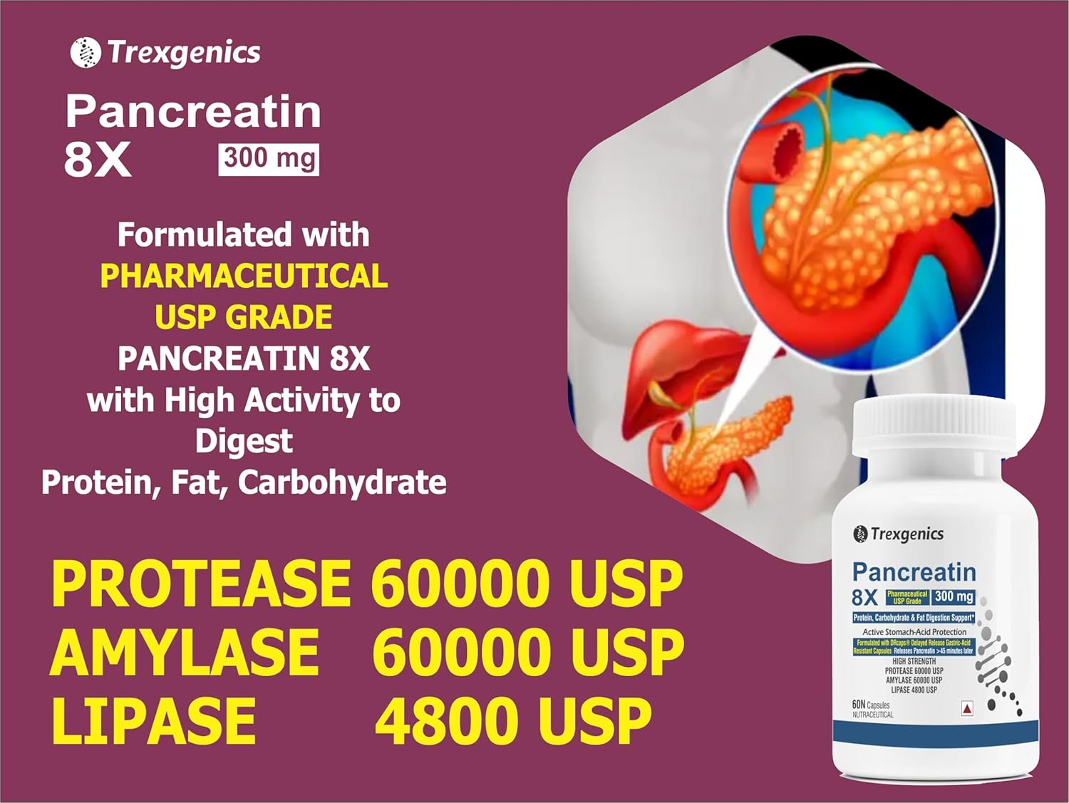 Trexegenics Pancreatin 8X supplement bottle with pancreatic illustration on a purple background