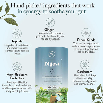 Wellbeing Nutrition Digest Green Tea | Digestive Tea with Probiotics, Digestive Enzymes, 8 Billion CFU & Fennel Seeds for better Digestion, Bloating, Gas and Acidity relief (40 Pyramid Tea Bags)