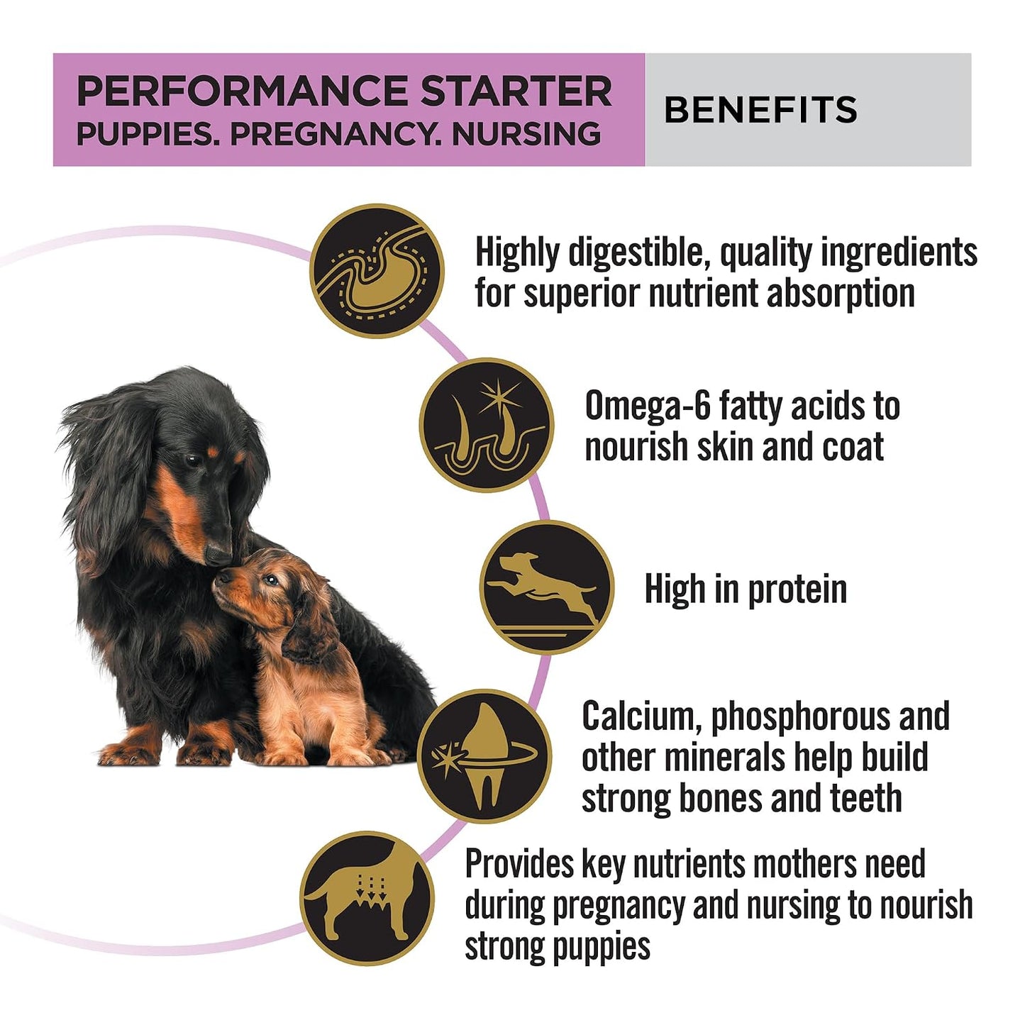 Purina Pro Plan Performance Starter for Puppies & Mothers, 1kg Pack | With Chicken, High Protein, Supports Puppies & Mothers, Muscle Recovery, Complete Nutrition