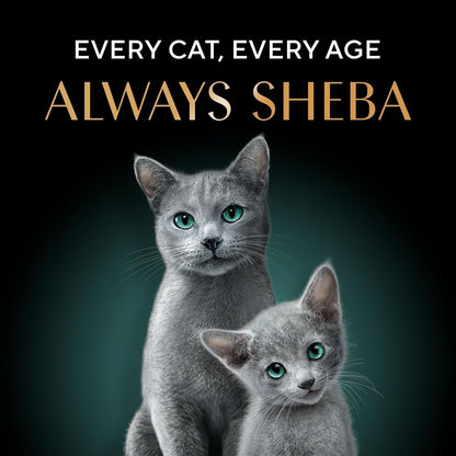 Sheba Rich Premium Adult (1+ Years) Wet Cat Food, Fish with Dry Bonito Flavour, 35 g Pouch (Pack of 12), High-moisture wet food for healthy hydration