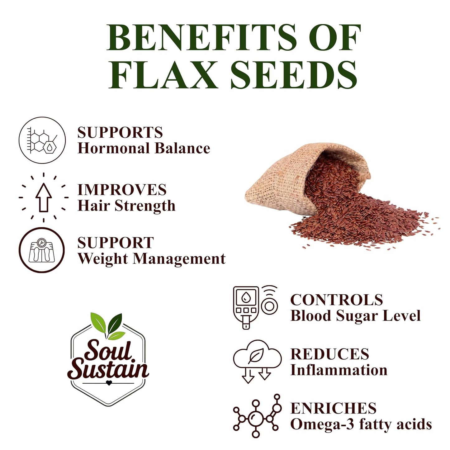 SoulSustain Flax Seeds Brown | Raw Linseed for Eating | Omega 3 Rich Seeds | High Fiber Flaxseed for Digestion, Heart Health, Weight Management | Vegan Gluten Free Superfood