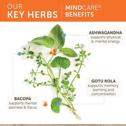 Key herbs with MindCare benefits on a white background