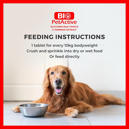 Bio PetActive Silycumin 1,5 g 50 Tablets Milk Thistle & Turmeric Extract Silymarin Curcumin Kidney & Liver Support Suitable for Large Breed Dogs