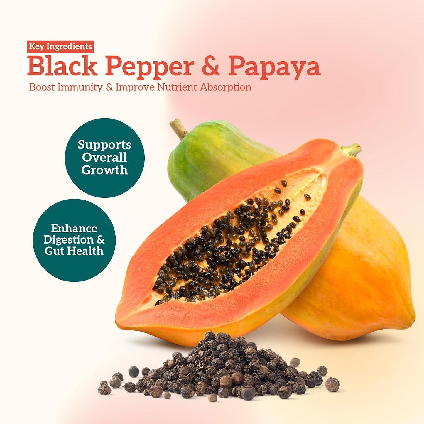 Himalaya Healthy PET Food for Puppies | Chicken & Milk | 1.2kg | Complete & Balanced Nutrition with Black Pepper, Oats & Papaya