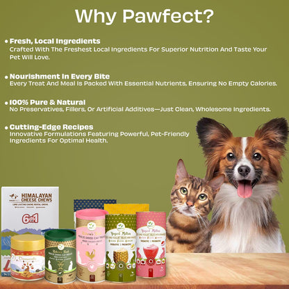 Pawfect Yogurt Melties Freeze Dried Pre and Probiotic Dog Treats with Pineapple, Coconut, Banana, Dandelion - Healthy Gut - Low Calories - Grain & Gluten Free - Reward or Training Treats (38g/1.34oz)