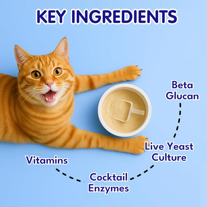 Petroyale Cat Digestive Probiotics - Cat Prebiotics & Probiotics Supplement - Prevents Diarrhea & Improves Gut Health - Cats Health Supplement for Digestion - 100 gm