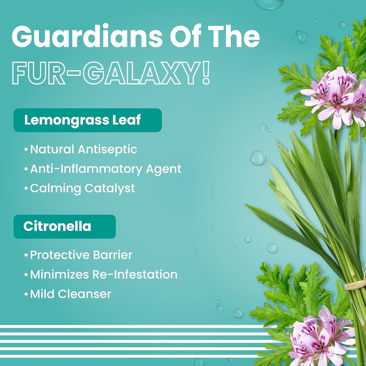BARK OUT LOUD Tick & Flea Shampoo for Dogs & Cats| Neem & Citronella Kills & Repels Parasites, Lice | Soothes Itching | Fresh Smell Spa-Like Care for Pets (200ml)