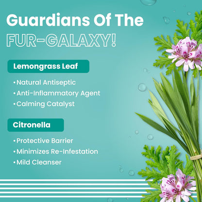 BARK OUT LOUD Tick & Flea Shampoo for Dogs & Cats| Neem & Citronella Kills & Repels Parasites, Lice | Soothes Itching | Fresh Smell Spa-Like Care for Pets (200ml)