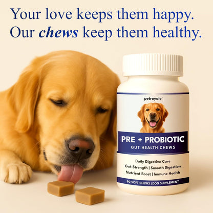 Petroyale Dog Pre+ Probiotic & Prebiotic Chews – Probiotics for Dogs – Dog Gut Health Supplement – Relieves Diarrhea, Improves Digestion & Immunity (90 Soft Chew)