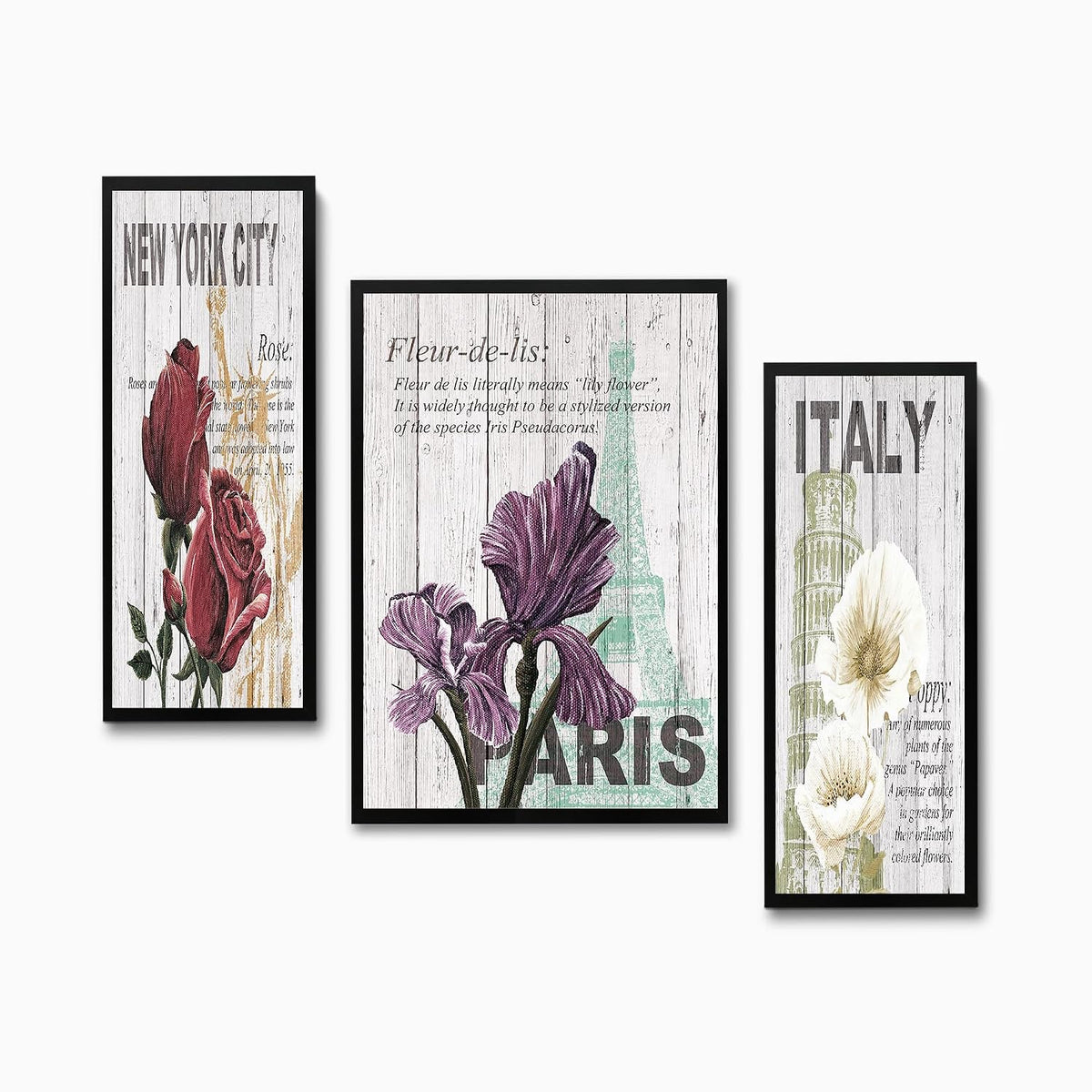 Wall Painting Frames For decor, Pictures Frame For Living Room, Home Decoration, Bedroom, Set of 3, 1pc- 23 x 30 cm, 2pc- 12.5 x 30 cm (Design 13)