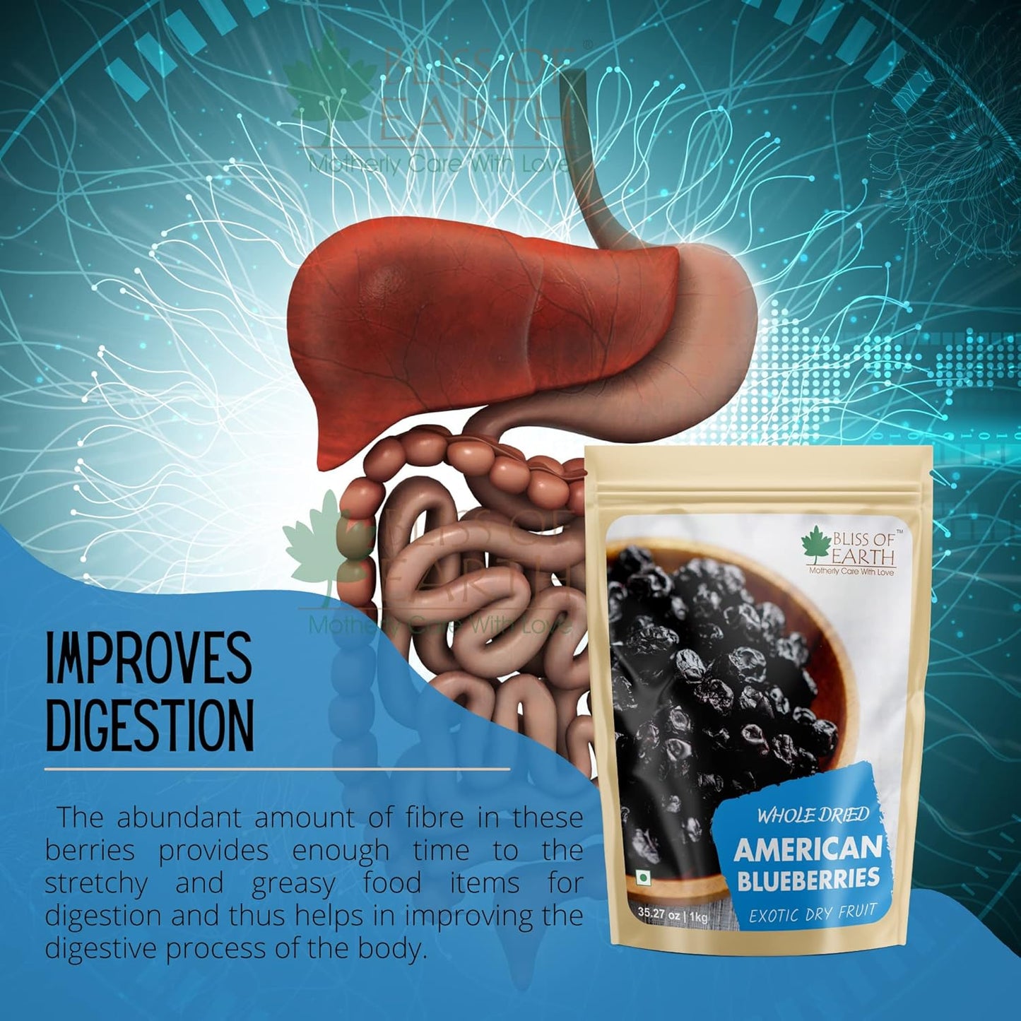 Bliss of Earth 500gm Whole Dried American Blueberries Exotic Dry Fruit King of Antioxidant