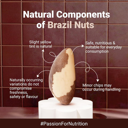 Nutraj Brazil Nuts Roasted 100g Pouch | No Added Preservatives | Handpicked & Exotic | Raw & Unsalted Natural Whole