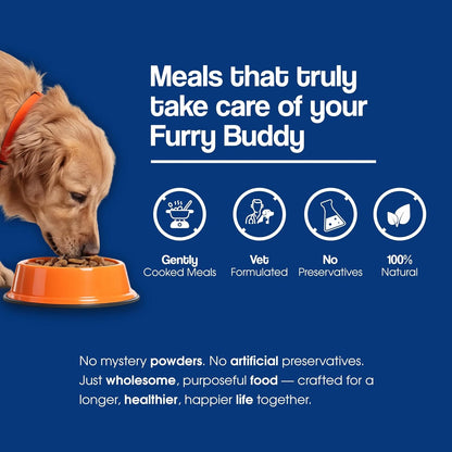 Wuuff&Meow Chicken Pumpkin with Vegetables Dog Food — Gently Cooked Wet Dog Meal with Zero Preservatives| Powered By BioFiber - Arbocel Purified Plant-Based Fiber | 100g