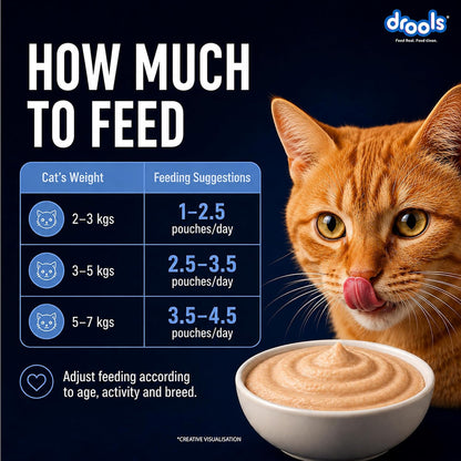 Drools Adult Cat Wet Mousse 80g Pack of 5, 400g | Ocean Fish Flavour | Rich in Protein, Hydrating & Easy to Digest | No Artificial Flavours | with Essential Vitamins & Antioxidants