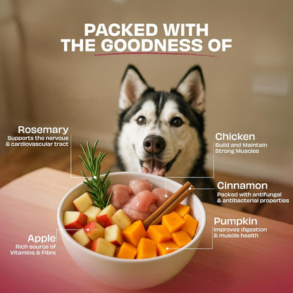 Pawfect Nature's Feast Pumpkin Spice Magic Freeze-Dried Chicken Treats for Dogs | Superman Edition | 80% Chicken, 20% Pumpkin Spice | Hypoallergenic | Grain-Free | Supports Digestion (50g/1.76oz)