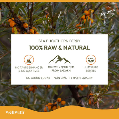 Ayuzera (Wellwith) Himalayan Sea Buckthorn Pulp Concentrate 300ml | Cold-Pressed | Makes 50 Glasses | Natural Vitamin C, Omega 3 6 7 9, Antioxidants | Immunity, Skin Glow & Gut Health Support | Juice Seabuckthorn